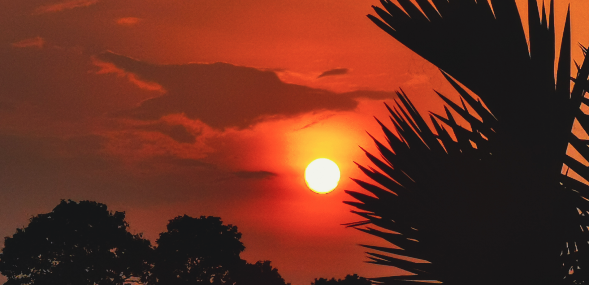 Pinterest Image Downloader Hero